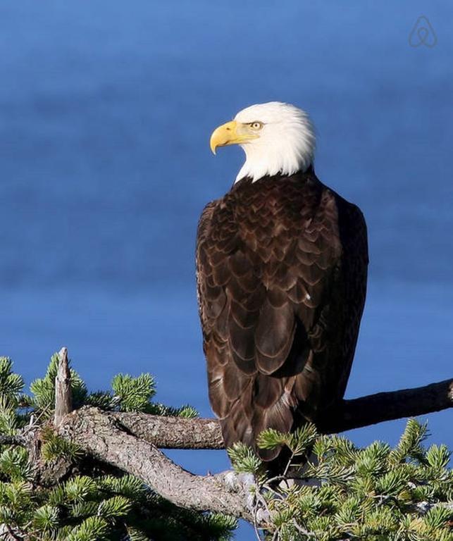 Qualicum Breeze Beach Resort Bowser Zimmer foto